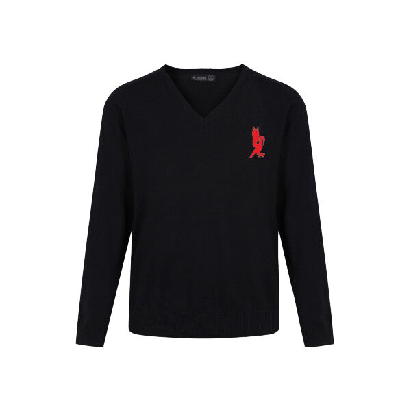 Hanley Castle Girls' Fit V-Neck Jumper SNR Thumbnail